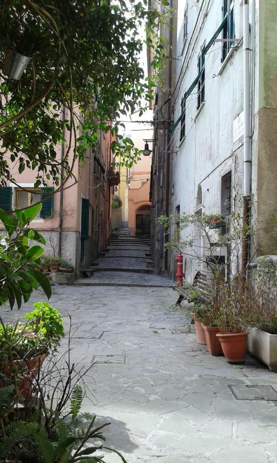 Il Nido Delle Taccole * Fezzano (Liguria)